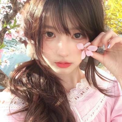 功夫梦